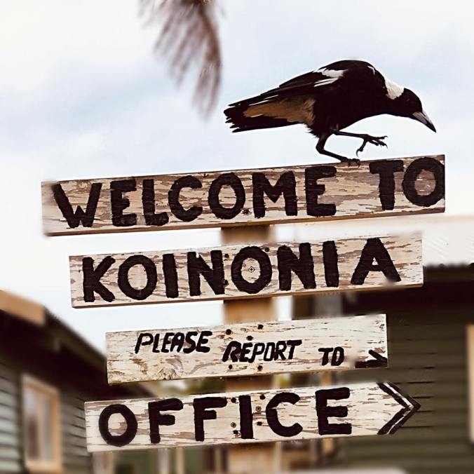 40568639_2169999913322066_1513276695329636352_n