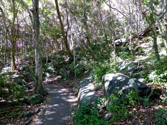 burleigh-head-national